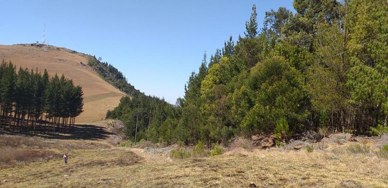 0 Bedroom Property for Sale in Hogsback Eastern Cape